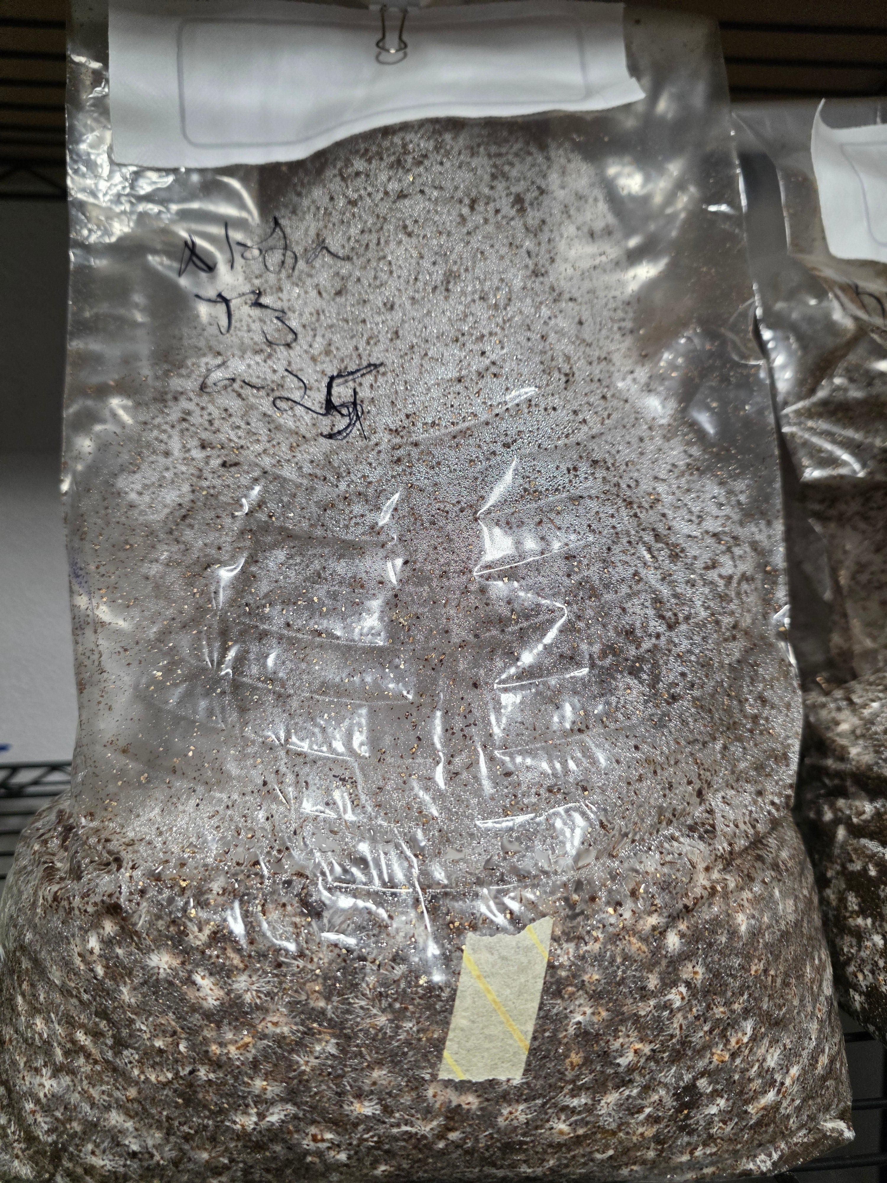 Ready to fruit bag