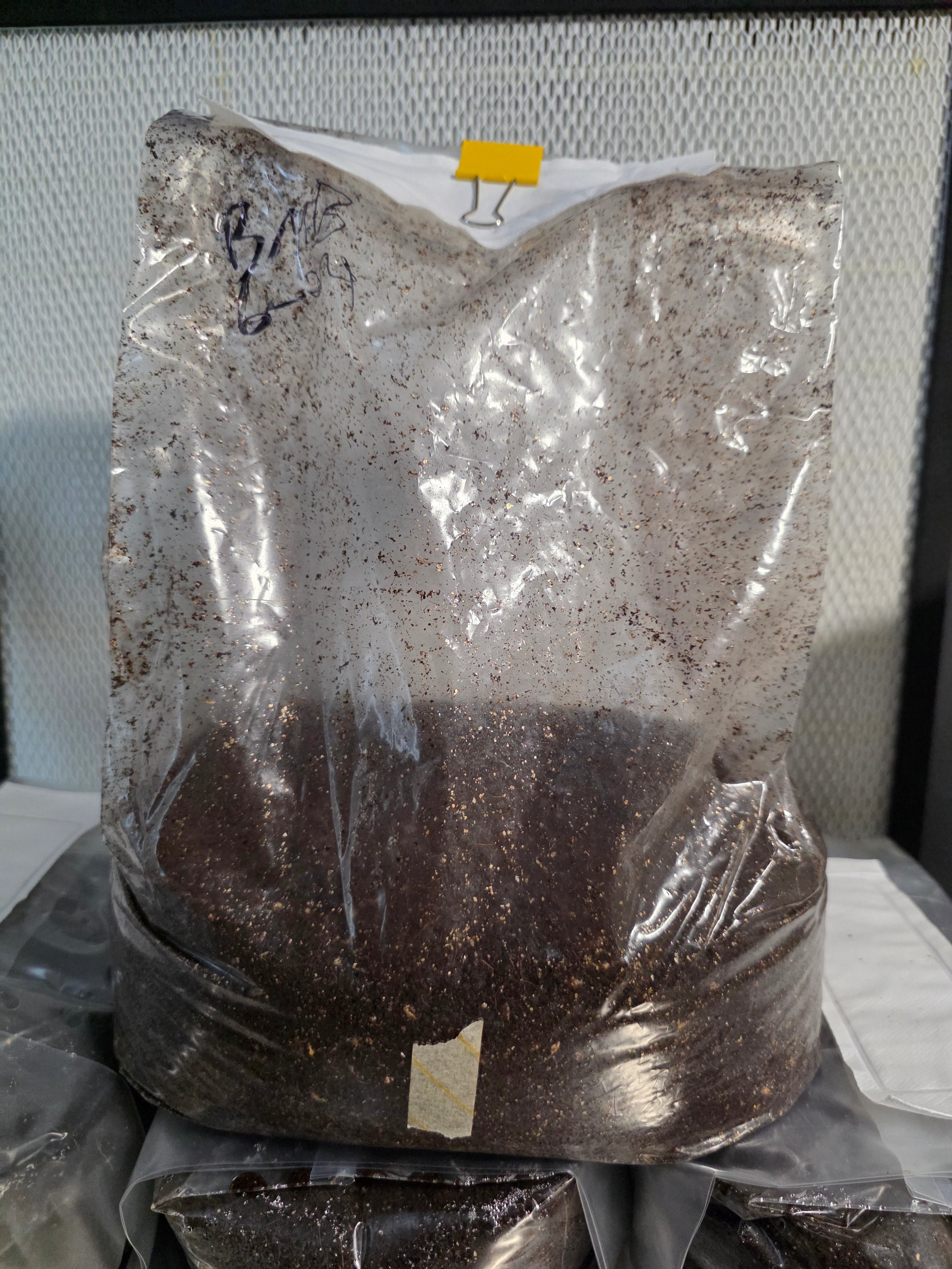 Ready to Fruit Bag 6.5lb