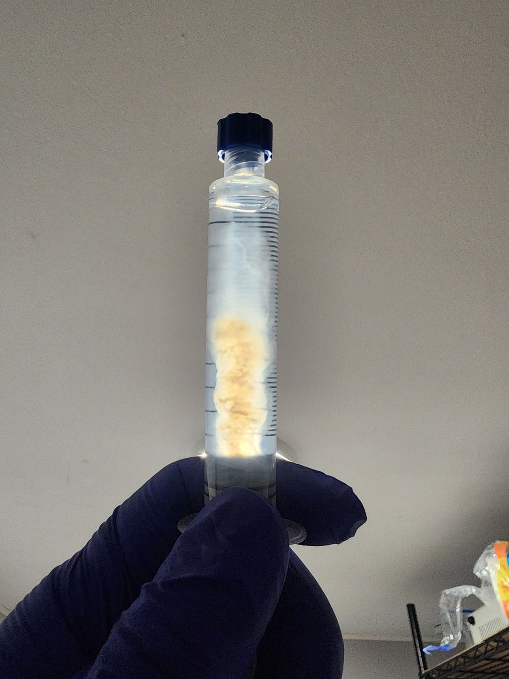 Exotic Mycelium Culture Syringe
