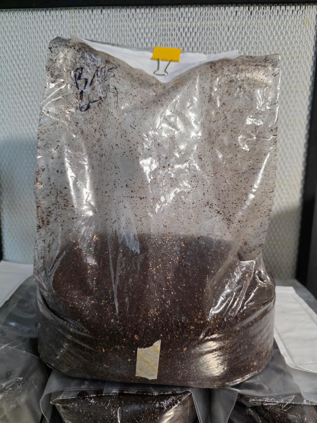 Ready to fruit bag