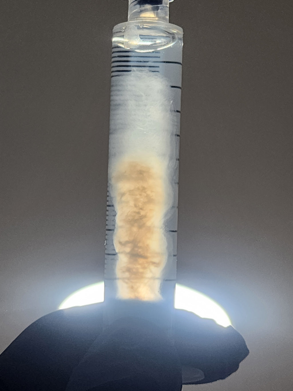 Exotic Mycelium Culture Syringe